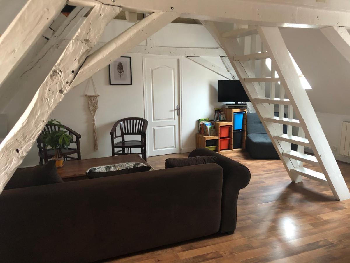 Le Grand Appartement - 90M2- 2 Chb , 1 Mezzanine - 6Pers Romorantin-Lanthenay Luaran gambar